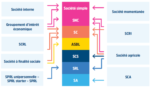 la réforme du droit des sociétés.png