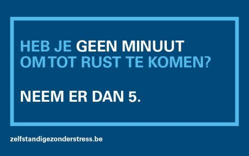 zelfstandige-zonder-stress-nl-800x500.jpg
