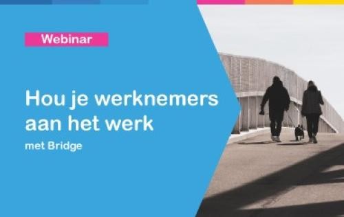 bridge-webinar.jpg