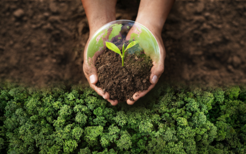 Whitepaper ESG